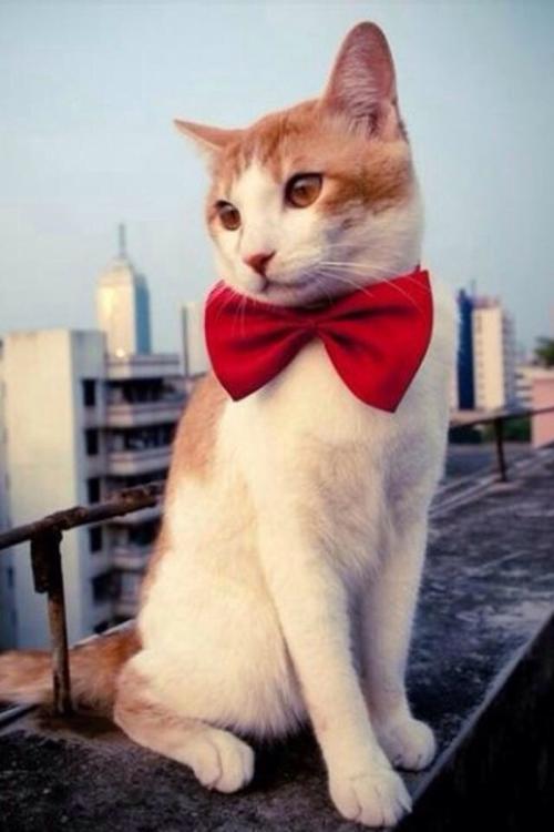 ´º½Úǰ¶¯Ì¬ÇåÁ㣡ÎÒ¹ú½«¶½´Ù½â¾öÅ©Ãñ¹¤Ç·Ð½