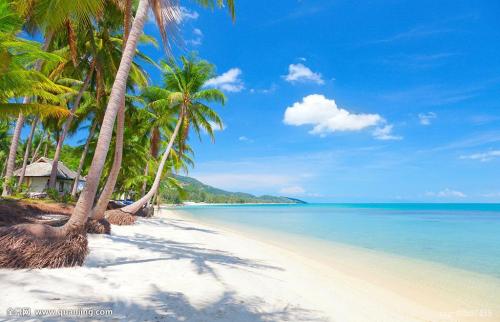 ECMO졢5GӦáҹͶЩҵ